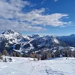 Bergblume A01