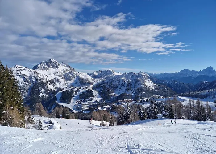 Sonnenalpe Nassfeld Bergblume A01 Apartament