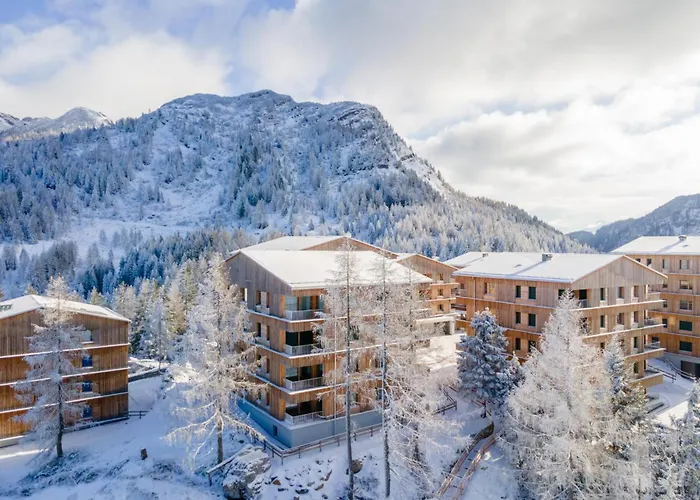 Bergblume A01 Sonnenalpe Nassfeld